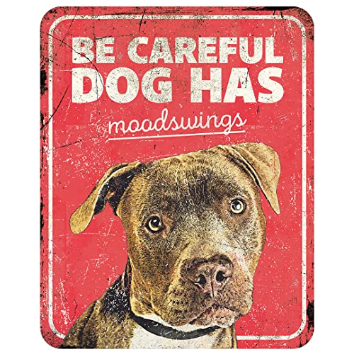 D&D Home, Warnschild Achtung vor dem Hund, 25 x 20 x 0,3 cm, englische Version, roter Hintergrund, rostbeständiges Metallschild mit lustigem Text von D&D Home