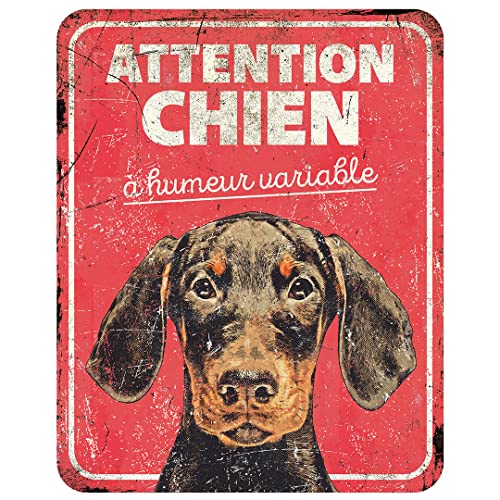 D&D Home, Warnschild Achtung vor dem Hund, 25 x 20 x 0,3 cm, französische Version, roter Hintergrund, Warnschild aus Metall, rostbeständig, mit lustigem Text von D&D Home