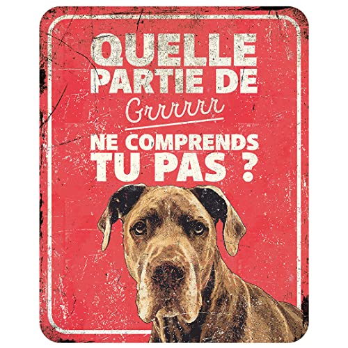 D&D Home, Warnschild Attention au Hund, 25 x 20 x 0,3 cm, französische Version, roter Hintergrund, Warnschild aus Metall, rostbeständig, mit lustigem Text von D&D Home