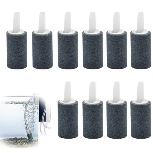 10 Stücke Luftstein Für Aquarium,Aquarium Luftstein,2,5 Cm Luftstein Aquarium,Airstone,Zylinder Blase Diffusor,Sprudelstein,Sprudelstein Für Aquarium Für Aquarium-Aquariumpumpe Und Hydroponik 10 Stücke Luftstein Für Aquarium,Aquarium Luftstein,2,5 Cm Luftstein Aquarium,Airstone,Zylinder Blase Diffusor,Sprudelstein,Sprudelstein Für Aquarium Für Aquarium-Aquariumpumpe Und Hydroponik von DAAIZIII