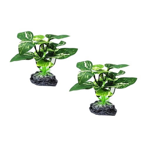 DABAIXIONG Terrarium Künstliche Blattschmuck Pflanzendekor Für Garnelentanks Lebensraumlandschaft Aquarium Landschaft DABAIXIONG Terrarium Künstliche Blattschmuck Pflanzendekor Für Garnelentanks Lebensraumlandschaft Aquarium Landschaft von DABAIXIONG