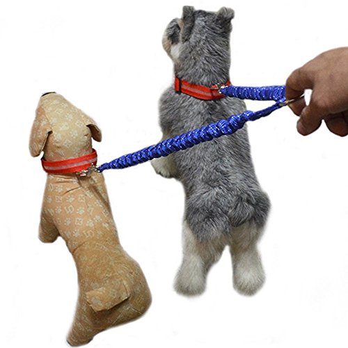 Doppelte Hundeleine, Hundeleine für zwei Hunde 2-Wege keine Verwicklung Doppelleine Nylon Lang Ideal zum Wandern für kleine bis große Hunde Doppelte Hundeleine, Hundeleine für zwei Hunde 2-Wege keine Verwicklung Doppelleine Nylon Lang Ideal zum Wandern für kleine bis große Hunde von DADA