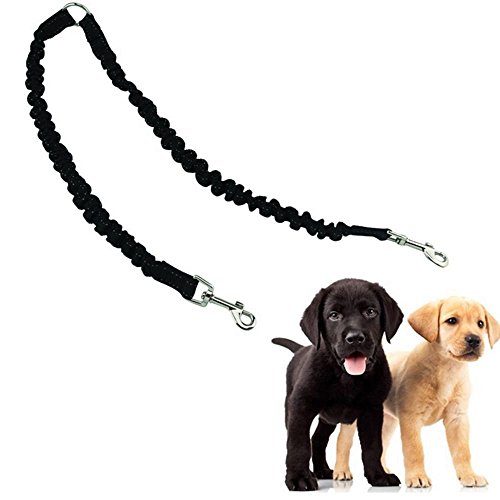 Doppelte Hundeleine, Hundeleine für zwei Hunde 2-Wege keine Verwicklung Doppelleine Nylon Lang Ideal zum Wandern für kleine bis große Hunde Doppelte Hundeleine, Hundeleine für zwei Hunde 2-Wege keine Verwicklung Doppelleine Nylon Lang Ideal zum Wandern für kleine bis große Hunde von DADA