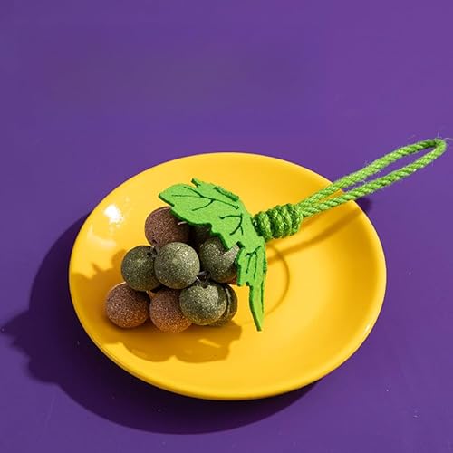 DAFORERAL Grape Katzenminze Kauspielzeug für Katzen, interaktives Selbstspiel-Zahnspielzeug mit Glocke und Seilknoten, Naturfaser für die Verdauung (gemischte Geschmacksrichtungen) von DAFORERAL