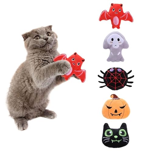 DAFORERAL Halloween Katzenminze Plüschtier Set - 5er Pack Halloween Thema Katzenspielzeug mit Kürbis, Fledermaus, Geist, Spinne und Katzenkopf Designs von DAFORERAL