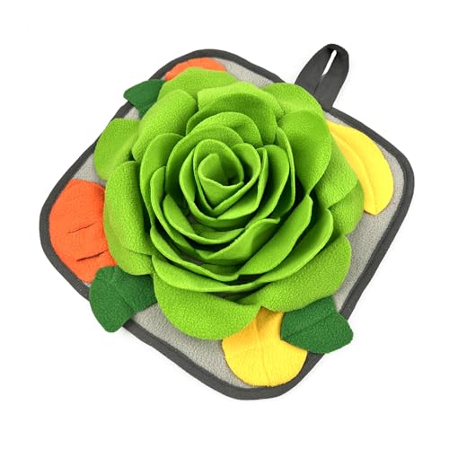 DAFORERAL Interaktives Kauspielzeug für Haustiere, Schildkröte Hundespielzeug mit Quietscher, Zähneknirschen & Reinigen, lustiges Geburtstagsparty-Geschenk für Hunde (Grün) von DAFORERAL