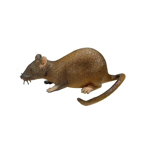 DAFORERAL Realistisches Katzen-Maus-Spielzeug, weiches Silikon, Kauen, langlebig, Katzenunterhaltung, interaktives Katzenminze-Spielzeug, 14 x 5 cm DAFORERAL Realistisches Katzen-Maus-Spielzeug, weiches Silikon, Kauen, langlebig, Katzenunterhaltung, interaktives Katzenminze-Spielzeug, 14 x 5 cm von DAFORERAL