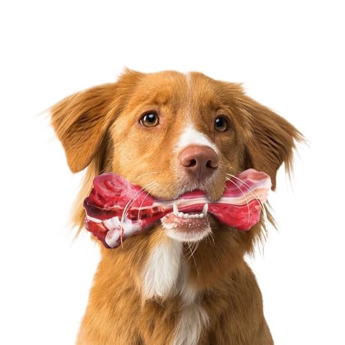 DAFORERAL Unzerstörbares Kauspielzeug für Hunde mit Beinknochen aus Gummi für aggressive Kauer, langlebiges und robustes Haustierspielzeug für mittelgroße Hunde, perfekt für Zähneknirschen DAFORERAL Unzerstörbares Kauspielzeug für Hunde mit Beinknochen aus Gummi für aggressive Kauer, langlebiges und robustes Haustierspielzeug für mittelgroße Hunde, perfekt für Zähneknirschen von DAFORERAL