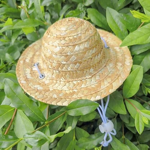 Haustier-Sommer-Strohhut, niedlicher dekorativer Hut für Katzen und kleine Hunde, Bambus-Libellen-Design, Foto-Requisite, Zwei (A09, M) von DAFORERAL