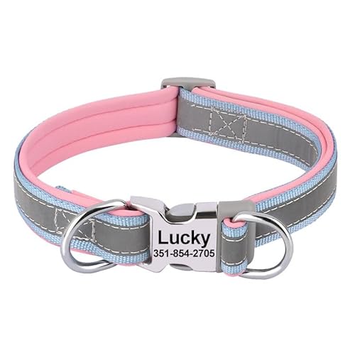 Hundehalsband, graviert, mit Namensschild, personalisierbar, mit ID-Tags, für Welpen, kleine, mittelgroße und große Hunde und Katzen Hundehalsband, graviert, mit Namensschild, personalisierbar, mit ID-Tags, für Welpen, kleine, mittelgroße und große Hunde und Katzen von DAFORERAL