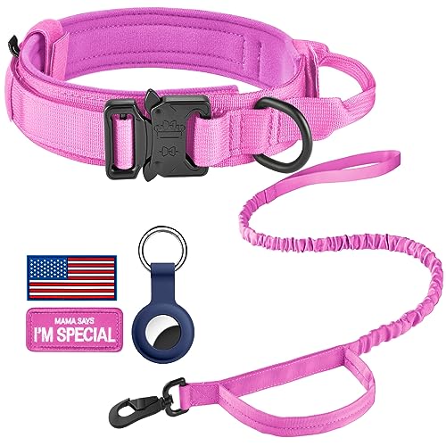 DAGANXI Taktisches Hundehalsband, Verstellbares Militärtraining Nylon Hundehalsband mit Kontrollgriff und Schwermetallschnalle für mittelgroße und große Hunde, mit Patches und Airtags-Etui (M, DAGANXI Taktisches Hundehalsband, Verstellbares Militärtraining Nylon Hundehalsband mit Kontrollgriff und Schwermetallschnalle für mittelgroße und große Hunde, mit Patches und Airtags-Etui (M, von DAGANXI
