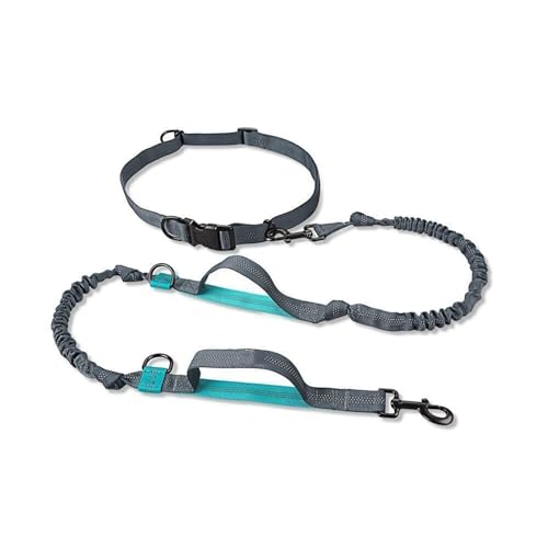 Verstellbare Hundeleine mit reflektierenden Nähten für Hundetraining Verstellbare Hundeleine mit reflektierenden Nähten für Hundetraining von DAGIJIRD