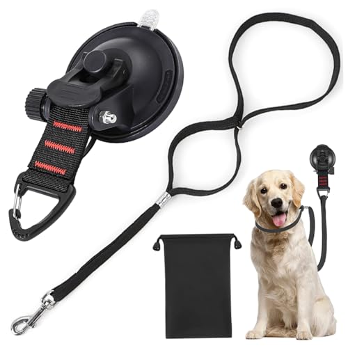 Hundebadeleine mit starkem Saugnapf, 55, 9 cm Lange Hundepflegeleine, weiche Nylonleine mit verstellbarem Halsband zum Duschen und Pflegen von Haustieren Hundebadeleine mit starkem Saugnapf, 55, 9 cm Lange Hundepflegeleine, weiche Nylonleine mit verstellbarem Halsband zum Duschen und Pflegen von Haustieren von DAGLLGEW