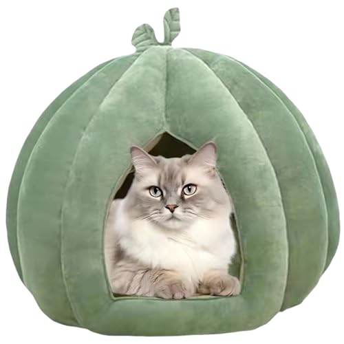 Katzenhöhlenbett, 14 x 14 x 12 Zoll, weiches, süßes, warmes Kürbis-Katzenbett mit abnehmbarem Kissen, leicht zu reinigen, großes überdachtes Hausversteck für die Innenhöhle, Innenhaus, überdacht von DAGLLGEW