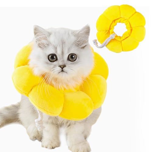 Katze Halskrause Schutzkragen Soft Weich Halsband für Katzen Leckschutz für Katzen Einstellbarer Schutzkragen Weich Sonnenblume Katze für Katzen (Halsumfang beträgt :8-25cm) von DAGORD