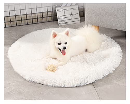 DAIHAN Weiche und Warme Flauschig Hundematten,Haustierdecken Katzenmatten Plüsch Runde Hundedecke Haustierdecke Katzendecke Kissenauflage Schlafmatte Haustiermatte für Kiste Weiß 100cm DAIHAN Weiche und Warme Flauschig Hundematten,Haustierdecken Katzenmatten Plüsch Runde Hundedecke Haustierdecke Katzendecke Kissenauflage Schlafmatte Haustiermatte für Kiste Weiß 100cm von DAIHAN