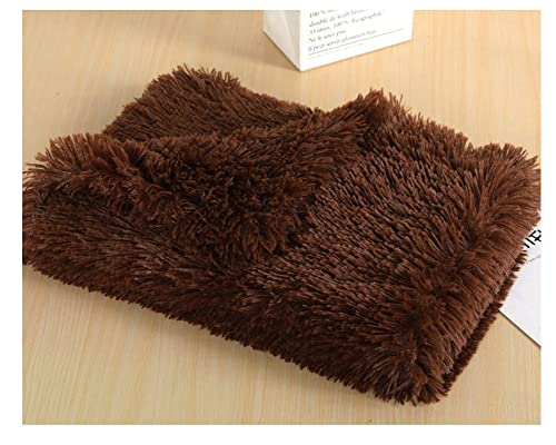 Pet Kitten Kunstpelz Weich und Bequem Hundedecke Katzendecke Plüschdecke,Rutschfester Flauschiges Katzenkorb Katzenbett Plüsch Kissenauflage Haustierbetten Hundematte Katzenkissen DaKaffee 100*75cm von DAIHAN