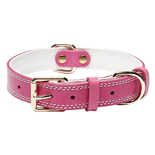 DAIHAQIKO Hundehalsband, Echtleder-Hundehalsband, robustes Hundehalsband, breites Hundehalsband für kleine Hunde, mittelgroße Hunde, Doppelnaht,Rosa) von DAIHAQIKO