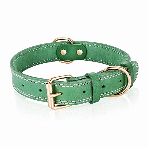 DAIHAQIKO Hundehalsband, echtes Leder, robustes Hundehalsband, breites Hundehalsband für kleine Hunde, mittelgroße Hunde,39.4 cm Halsumfang, grün) von DAIHAQIKO