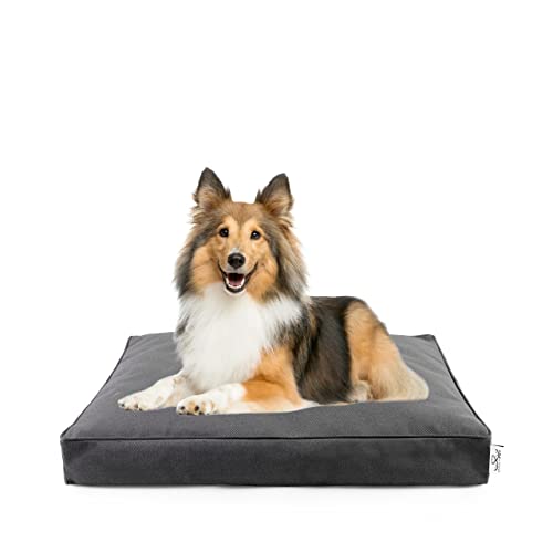 DAILY PET Hundebett Mittelgroße Hunde – Waschbar – Flauschig Hundekorb – Kratzfest – Wasserdicht – Robust Hundesofa – Hundekissen S 65 x 50 x 6 cm – Graphit DAILY PET Hundebett Mittelgroße Hunde – Waschbar – Flauschig Hundekorb – Kratzfest – Wasserdicht – Robust Hundesofa – Hundekissen S 65 x 50 x 6 cm – Graphit von DAILY PET