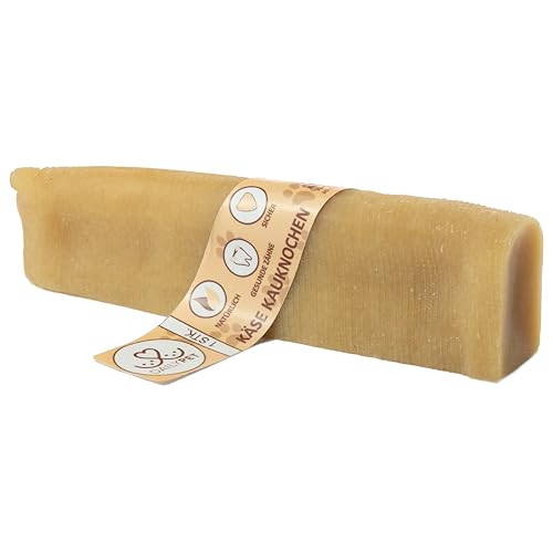 DAILY PET Kaukäse für Hunde - Käseknochen - Natürliche Käse Kauknochen für Hunde - Zahnpflege Hund - Kaustangen - Hundeleckerli - Hundesnack - Gesunde Snacks - Kausnack - 1 Stück - Größe L von DAILY PET