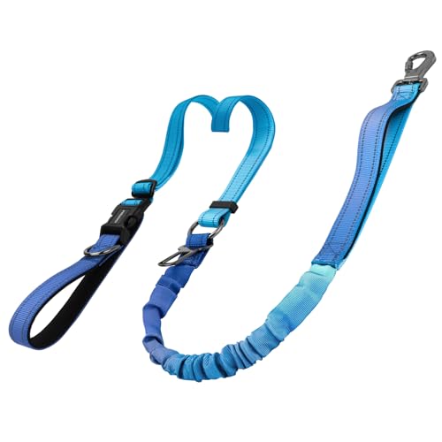 DAISTERN 6-in-1 Joggingleine Hunde, Freihandleine Elastisch Ruckdämpfend Reflektierend mit 360°Drehbarer Verriegelungskarabiner, Verstellbarer Hüftgurt für Mittelgroße und Große Hunde Blau von DAISTERN