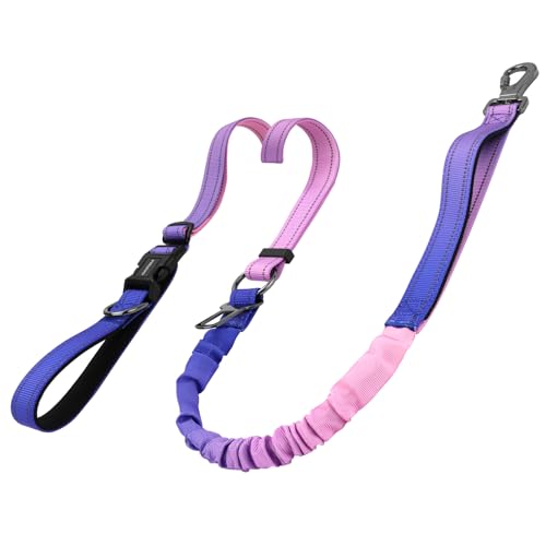 DAISTERN 6-in-1 Joggingleine Hunde, Freihandleine Elastisch Ruckdämpfend Reflektierend mit 360°Drehbarer Verriegelungskarabiner, Verstellbarer Hüftgurt für Mittelgroße und Große Hunde Lila von DAISTERN