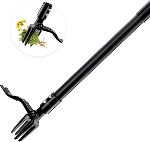 DAKEPOLE Unkrautstecher, Unkrautentferner Länge 150cm, Metallgriff und 4 Stahlkrallen, Aufrecht Stehender Unkrautentferner mit Gartenhandschuhen Geschenk, Haustierfreundlic DAKEPOLE Unkrautstecher, Unkrautentferner Länge 150cm, Metallgriff und 4 Stahlkrallen, Aufrecht Stehender Unkrautentferner mit Gartenhandschuhen Geschenk, Haustierfreundlic von DAKEPOLE