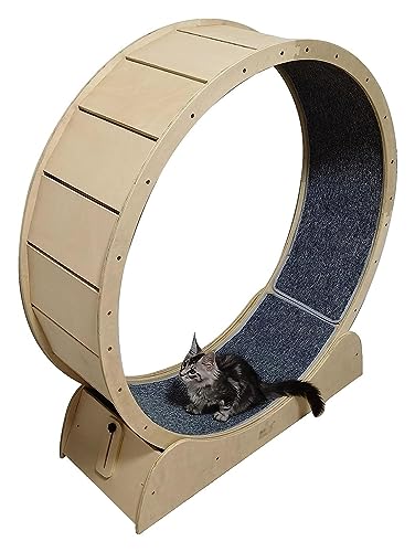 Katzen-Laufrad Katzenlaufband Haustierfreundliches Katzenlaufband, winzige Lücke, Laufrad für Indoor-Katzen, kleine/mittel/große Haustierspielzeug (Größe : 80 cm) von DALIZA