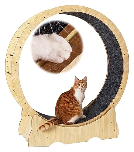 Katzenlaufrad Katzenlaufband Sicheres Katzenlaufrad, Schwerlast-Katzenrad-Trainingsgerät für Indoor-Katzen, Katzen-Riesenrad als Haustierspielzeug verwendet (Größe: 100 cm) von DALIZA