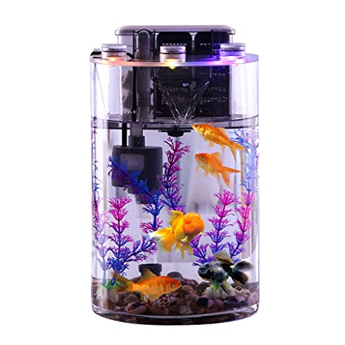 DALIZHAI777 Aquarium Transparentes Glas Zylindrisches Desktop-Haushalts-Aquarium für Faule Menschen ohne wechselnde Wasser ökologische Goldfisch-Tank Fischglas von liushop