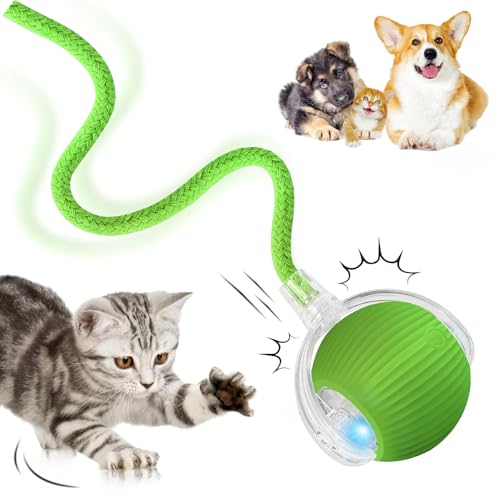 DAMIGHT Interaktives Katzenspielzeug, Katzenball Spielzeug Elektrisch, 360° Rolling Intelligentes Katzenspielzeug Wiederaufladbar über USB, Bewegliches Spielball für Katzen und Hunde Innenbereich von DAMIGHT