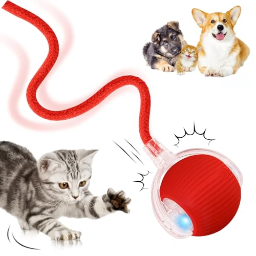 DAMIGHT Interaktives Katzenspielzeug, Katzenball Spielzeug Elektrisch, 360° Rolling Intelligentes Katzenspielzeug Wiederaufladbar über USB, Bewegliches Spielball für Katzen und Hunde Innenbereich von DAMIGHT