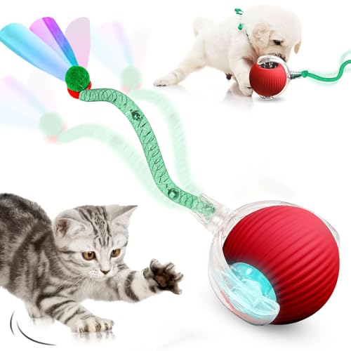 DAMIGHT Katzenspielzeug Elektrisch Katzenball, Interaktives Katzenspielzeug Ball, Automatisch Rollender Hundespielzeug mit Schwanz, USB Wiederaufladbarer Power Katzenball für Katzen Hund Tac Toe von DAMIGHT