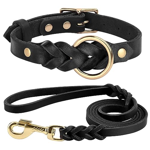 Echtes Leder Hundehalsband Leine Set Geflochten Langlebig Leder Hundehalsband Für Mittlere Große Hunde Haustier Zubehör M BlackSet von DANETI