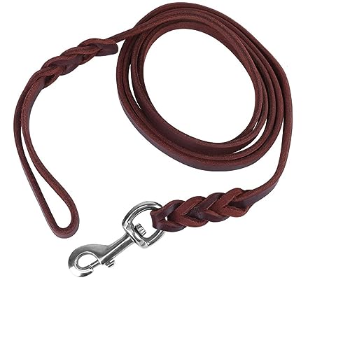 Hundeleine, Haustier, Hundeleinen, Zugseil, robuste und langlebige Leinen zum Spazierengehen, Hundekette für mittelgroße und große Hunde, 1,7 m, asshown Hundeleine, Haustier, Hundeleinen, Zugseil, robuste und langlebige Leinen zum Spazierengehen, Hundekette für mittelgroße und große Hunde, 1,7 m, asshown von DANETI
