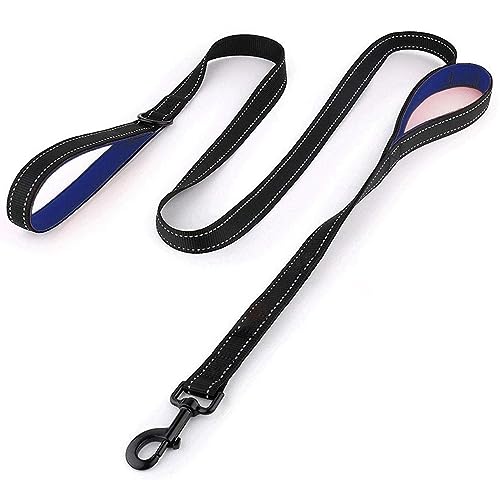 Hundeleine, reflektierend, gepolstert, zwei Griffe, langlebig, mittelgroß, Nylon, Größe L, 1,8 m, Blau Hundeleine, reflektierend, gepolstert, zwei Griffe, langlebig, mittelgroß, Nylon, Größe L, 1,8 m, Blau von DANETI