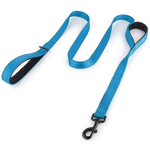 Hundeleine, reflektierend, gepolstert, zwei Griffe, langlebig, mittelgroß, Nylon, Größe M, 1,5 m, Himmelblau Hundeleine, reflektierend, gepolstert, zwei Griffe, langlebig, mittelgroß, Nylon, Größe M, 1,5 m, Himmelblau von DANETI