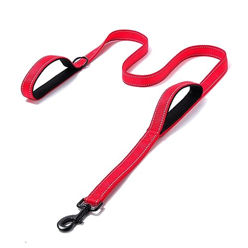 Hundeleine, reflektierend, gepolstert, zwei Griffe, langlebig, mittelgroß, Nylon, Größe M, 1,5 m, Rot Hundeleine, reflektierend, gepolstert, zwei Griffe, langlebig, mittelgroß, Nylon, Größe M, 1,5 m, Rot von DANETI