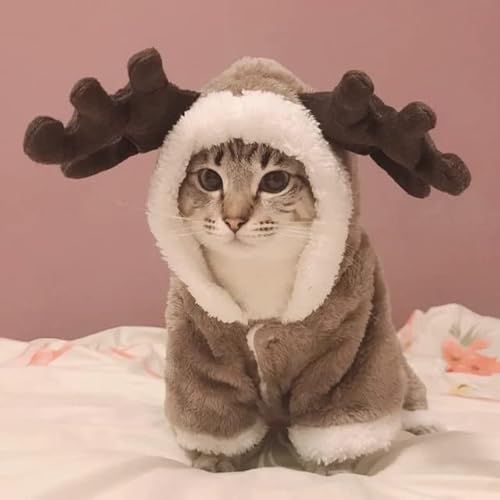 DANGAO Katzenkleidung, warmes Fleece-Haustierkostüm für kleine Katzen, Kätzchen, Overalls, Kleidung, Katzenmantel, Jacke, Haustiere, Hundekleidung DANGAO Katzenkleidung, warmes Fleece-Haustierkostüm für kleine Katzen, Kätzchen, Overalls, Kleidung, Katzenmantel, Jacke, Haustiere, Hundekleidung von DANGAO