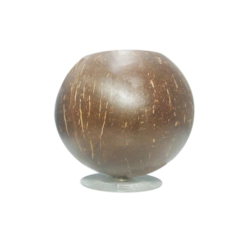 Aquarium Decor Fischtank Kokosnussschale Polierte Kokosnussschale Stifthalter Desktop Aufbewahrungsbehälter (Glatt-1 großes Loch + 1 kleines Loch + klare Saugkraft) von DANXQ