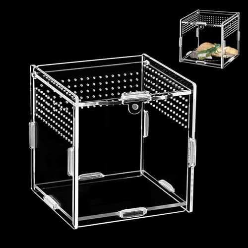 Reptile Fütterungsbox(10cm*10cm*10cm),Terrarium Acryl,Springspinne Terrarium,Terrarium Schnecken,Mini Terrarium,Reptilien Fütterungsbox Geeignet für Springspinnen,Eidechsen,Schnecken,Käfer von DAOOZHU