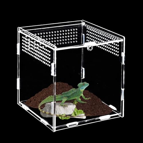 Reptile Fütterungsbox,15 cm*15 cm*15 cm Terrarium Acryl,Springspinne Terrarium,Terrarium Schnecken,Mini Terrarium,Reptilien Fütterungsbox Geeignet für Springspinnen,Eidechsen,Schnecken,Käfer Reptile Fütterungsbox,15 cm*15 cm*15 cm Terrarium Acryl,Springspinne Terrarium,Terrarium Schnecken,Mini Terrarium,Reptilien Fütterungsbox Geeignet für Springspinnen,Eidechsen,Schnecken,Käfer von DAOOZHU