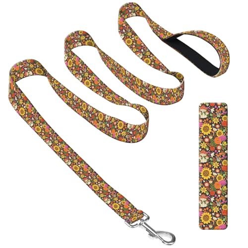 DAORJWL Hundeleine mit Neoprengriff, Hundetrainingsleine, 1,8 m, niedlich, langlebig, Polyester, für mittelgroße und große Hunde, Boho-Sonnenblume DAORJWL Hundeleine mit Neoprengriff, Hundetrainingsleine, 1,8 m, niedlich, langlebig, Polyester, für mittelgroße und große Hunde, Boho-Sonnenblume von DAORJWL