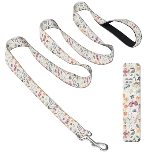 DAORJWL Hundeleine mit Neoprengriff, Hundetrainingsleine, 1,8 m, niedlich, langlebig, Polyester, für mittelgroße und große Hunde, buntes Boho-Blatt DAORJWL Hundeleine mit Neoprengriff, Hundetrainingsleine, 1,8 m, niedlich, langlebig, Polyester, für mittelgroße und große Hunde, buntes Boho-Blatt von DAORJWL