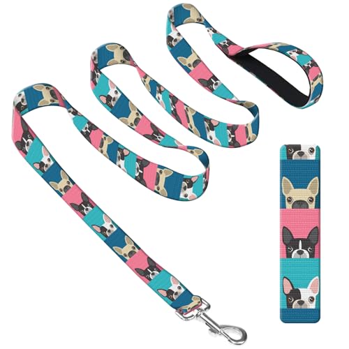 DAORJWL Hundeleine mit Neoprengriff, Hundetrainingsleine, 1,8 m, niedlich, langlebig, Polyester, für mittelgroße und große Hunde, lustiger Hund DAORJWL Hundeleine mit Neoprengriff, Hundetrainingsleine, 1,8 m, niedlich, langlebig, Polyester, für mittelgroße und große Hunde, lustiger Hund von DAORJWL