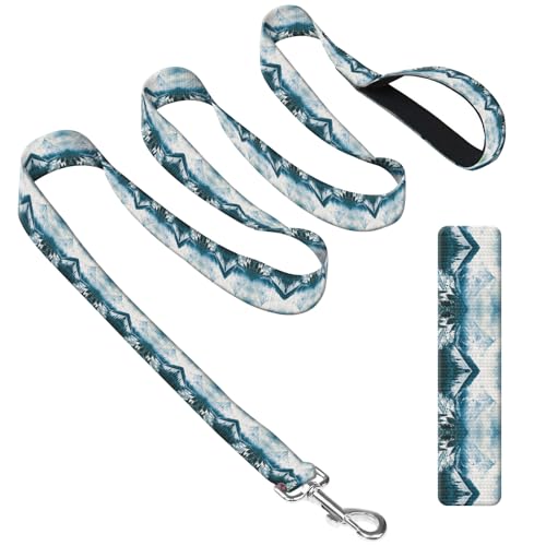 DAORJWL Hundeleine mit Neoprengriff, Hundetrainingsleine, 1,8 m, niedlich, langlebig, Polyester, für mittelgroße und große Hunde, luxuriös, grauer Berg DAORJWL Hundeleine mit Neoprengriff, Hundetrainingsleine, 1,8 m, niedlich, langlebig, Polyester, für mittelgroße und große Hunde, luxuriös, grauer Berg von DAORJWL