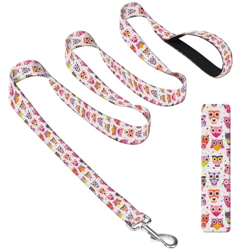 DAORJWL Hundeleine mit Neoprengriff, Hundetrainingsleine, 1,8 m, niedliche, strapazierfähige Polyester-Hundeleine für mittelgroße und große Hunde, niedliche bunte Eule DAORJWL Hundeleine mit Neoprengriff, Hundetrainingsleine, 1,8 m, niedliche, strapazierfähige Polyester-Hundeleine für mittelgroße und große Hunde, niedliche bunte Eule von DAORJWL