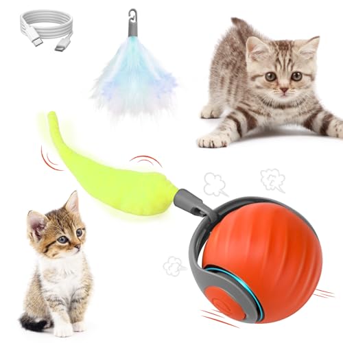 DAOUZL Interaktives Katzenspielzeug - Elektrischer Katzenball Mit 2 Arbeitsmodi, Selbstbeschäftigung, Automatisch Rollender Intelligenz Ball DAOUZL Interaktives Katzenspielzeug - Elektrischer Katzenball Mit 2 Arbeitsmodi, Selbstbeschäftigung, Automatisch Rollender Intelligenz Ball von DAOUZL
