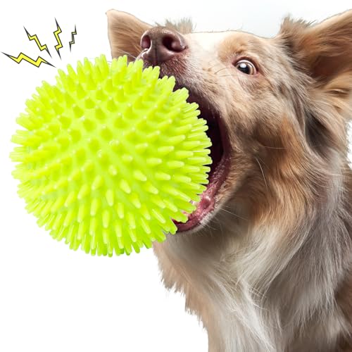 DAOZIJI Unzerstörbarer Hundeball mit Stacheln von DAOZIJI